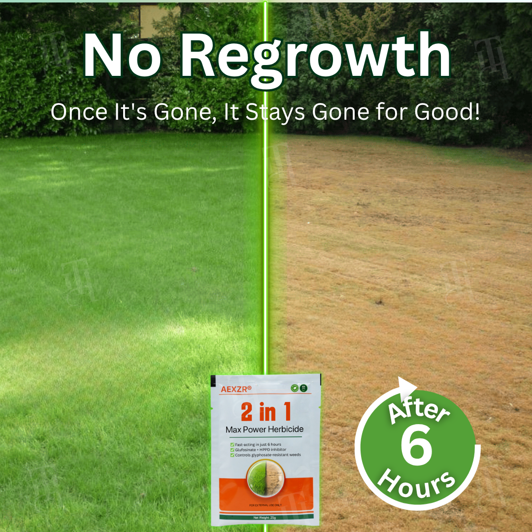 🌟 Official Store |🔥Hot Sale - 50% OFF🌿2 in 1 Max Power Herbicide