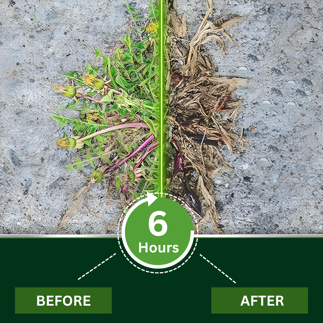 🌟 Official Store |🔥Hot Sale - 50% OFF🌿2 in 1 Max Power Herbicide
