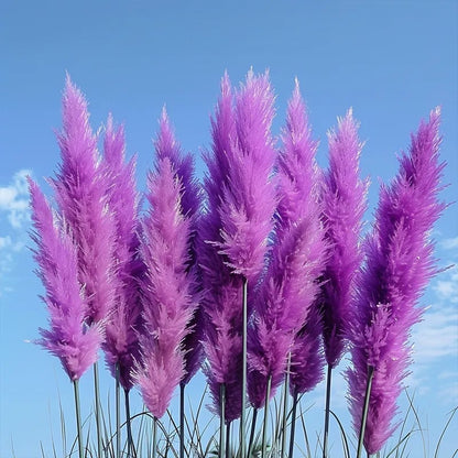 🔥2025 Garden Must-Have🌾 Perennial Pampas Ornamental Grass Seeds🌱